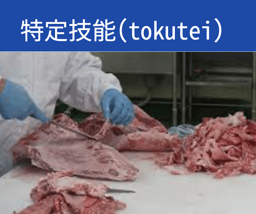 Kobe_食肉加工スタッフ・留学生OK