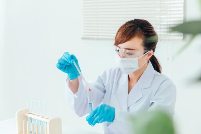 医薬品の品質管理業務です